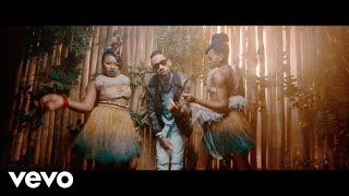 Phyno - Nnunu [Official Video] ft. Stormrex