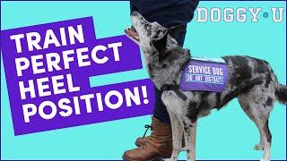 TRAIN THIS FIRST! Loose Leash Walking Foundation: Come to Heel