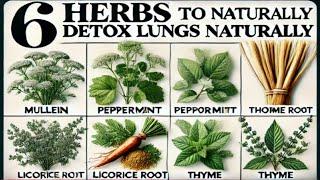 6 Herbs to Naturally Detox Your Lungs | Clear Your Lungs Fast!