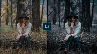 Lightroom professional color effect | Adobe lightroom photo effect | Lightroom mobile tutorial