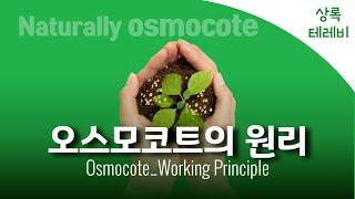 오스모코트의 원리 - 세계 유일 순식물성 콩기름코팅/Osmocote Fertilizers Working Principles - Controlled release fertilizer