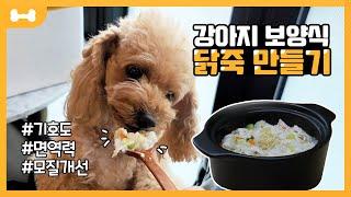 강아지 닭죽 레시피｜강아지 면역력 지키는 뜨~끈한 닭죽 한그릇 (강아지 수제 간식 만들기/강아지 생식 만들기/강아지 수제간식 만드는법)