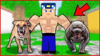 KASLI KEREM KOMİSER'İN KÖPEĞİ OLDU!  - Minecraft ZENGİN FAKİR HAYATI