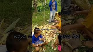 The Power of Teamwork