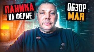 Паника на ферме: поголовье водоплавающих выросло в разы! Обзор хозяйства в феврале #МоеПодворье