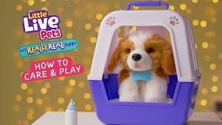 LITTLE LIVE PETS I MY REALLY REAL PUPPY HOW TO CARE AND PLAY VIDEO I