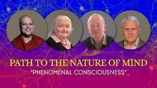 Phenomenal Consciousness. The Path to the Nature of Mind