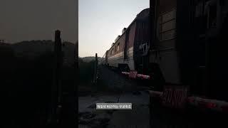 해질녘 작은교량을 지나는 열차 #디젤기관차 #무궁화호 #railway
