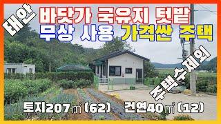 [물건번호2700]태안군 소원면 바닷가 4km "주택수제외 가격싼 주택 급매" 합니다, 바닷가 주택수 제외 주택 입니다, 팔각정, 비닐하우스  텃밭 있는 가격저렴한 주택 입니다,