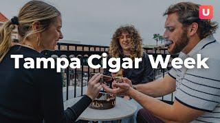 The Biggest Cigar Fest in Tampa Bay! | Stuff To Do In Tampa Bay - Tampa Cigar Week