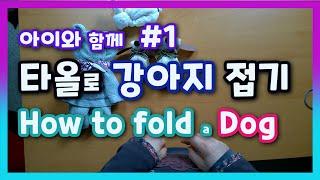 아이와 함께 #1-타올로 강아지 접기 How to fold a dog