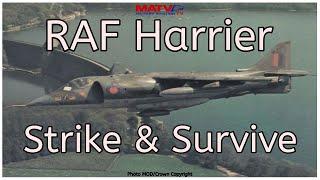 RAF Harrier :Strike and Survive | Classic Documentary #harrier #raf #coldwar #nato #germany