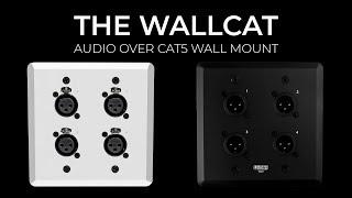 SoundTools WallCAT Analog Audio Over CAT5 Wall Mount