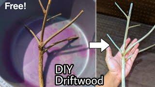 Diy Driftwood | How to make aquarium driftwood at home (Simple steps)