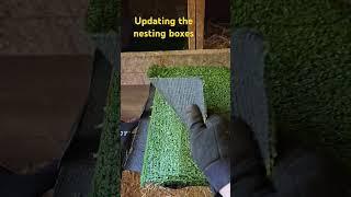 cleaning out and updating the nesting boxes