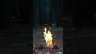 Cutting up Firewood for the Fire  #camping #shorts #shortvideo #shortsvideo