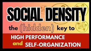 SOCIAL DENSITY: The (hidden) key to high performance and self-organization  BetaCodex LIVE #47