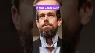 Jack Dorsey's Wealth Accumulation Strategies #psychology #spirituality #mindfulness #finance #data