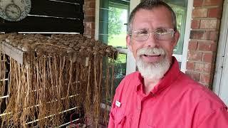 How to clean and store garlic after curing