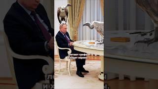 Чичваркин: Путин не ВЕЧЕН!