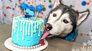 Magical Ice Princess Birthday Cake For Dogs ️ DIY Dog Treats