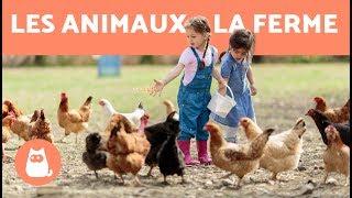 Les animaux de la ferme - leur cri, leurs petits, leur famille