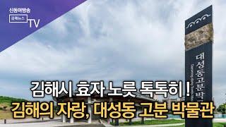 세계유산 대성동고분박물관 관람객 증가/SDATV 신동아방송김해