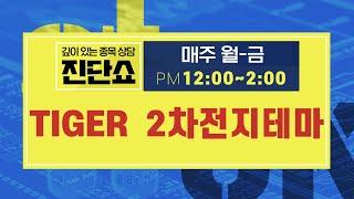 TIGER 2차전지테마(305540) /  2차전지 약세장에서 반등