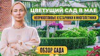 Цветущий сад в мае. Неприхотливые кустарники и многолетники.