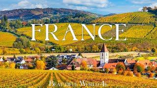 France 4K - Stunning Autumn Vineyards and Scenic Fall Landscapes - Relaxing Piano