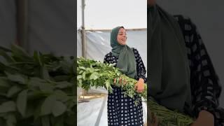 توزيع اكله الملوخيه علي الناس  #gaza #غزة