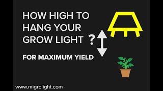 How Far Should Grow Lights Be From Plants? Learn How high To Hang A Grow Light