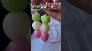 아이폰 당고 이모티콘 실물 리뷰#shorts