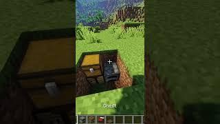 New World Record Minecraft Smallest Houes(Hell_s_Comin_With_Me)