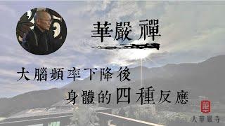 大華嚴寺 | 華嚴禪法 | 大腦頻率下降後，身體的四種反應