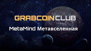 Метавселенная MetaMind и игра GrabCoinClub