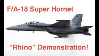 F/A-18 Super Hornet ("Rhino") Flight Demonstration - NAS Oceana Air Show 2020