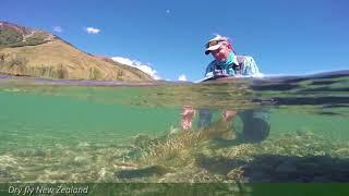 Dry fly Fishing New Zeland