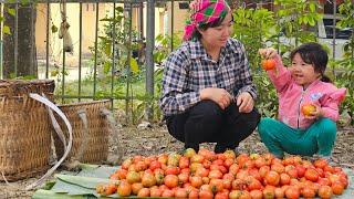 Сбор помидоров на продажу - Жизнь 16-летней матери-одиночки, живущей в лесу