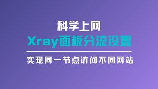 新版xray面板设置分流，实现同一节点用不同IP访问不同的网站，vless/vmess使用shadowsocks或者socks节点分流，访问 chatgpt/PayPal/Facebook#一瓶奶油