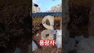 광교산 용광사 part 2.     대자대비하신 부처님의 가피가 함께 하시길 기원합니다      나무아미타불 관세음보살        #사찰여행 #소원성취 #구독과좋아요