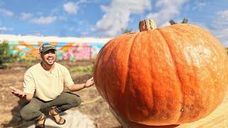 I Tried Growing a Giant Pumpkin Using a Chicken