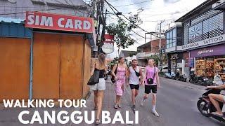 Early Evening Walk at Batu Bolong Canggu Bali Situation & Activities | Walking Tour Bali Today 2024