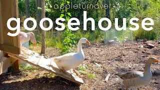 build a goosehouse and keep geese to create a resilient farm, at appleturnover