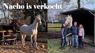 Nacho is verkocht ️ Dit is zijn nieuwe forever home!