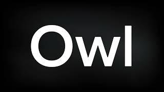 How to Pronounce Owl #english #pronunciation #englishpronunciation #englishpractice #pronounce