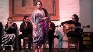 Tablao De Carmen - Flamenco Show - Pueblo Español (Barcelona 2012)