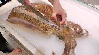 【Ikazukuri】The best way to eat squid. The squid is quickly prepared while it's still alive.