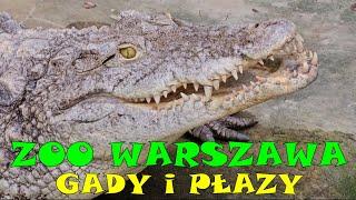 ZOO Warszawa - Gady i Płazy