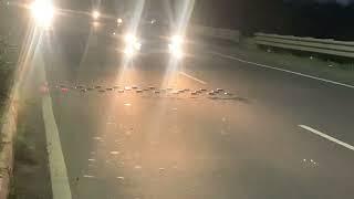 Installed solar road studs on highway | Future Secure Safety | 7972210229 | 8999861847